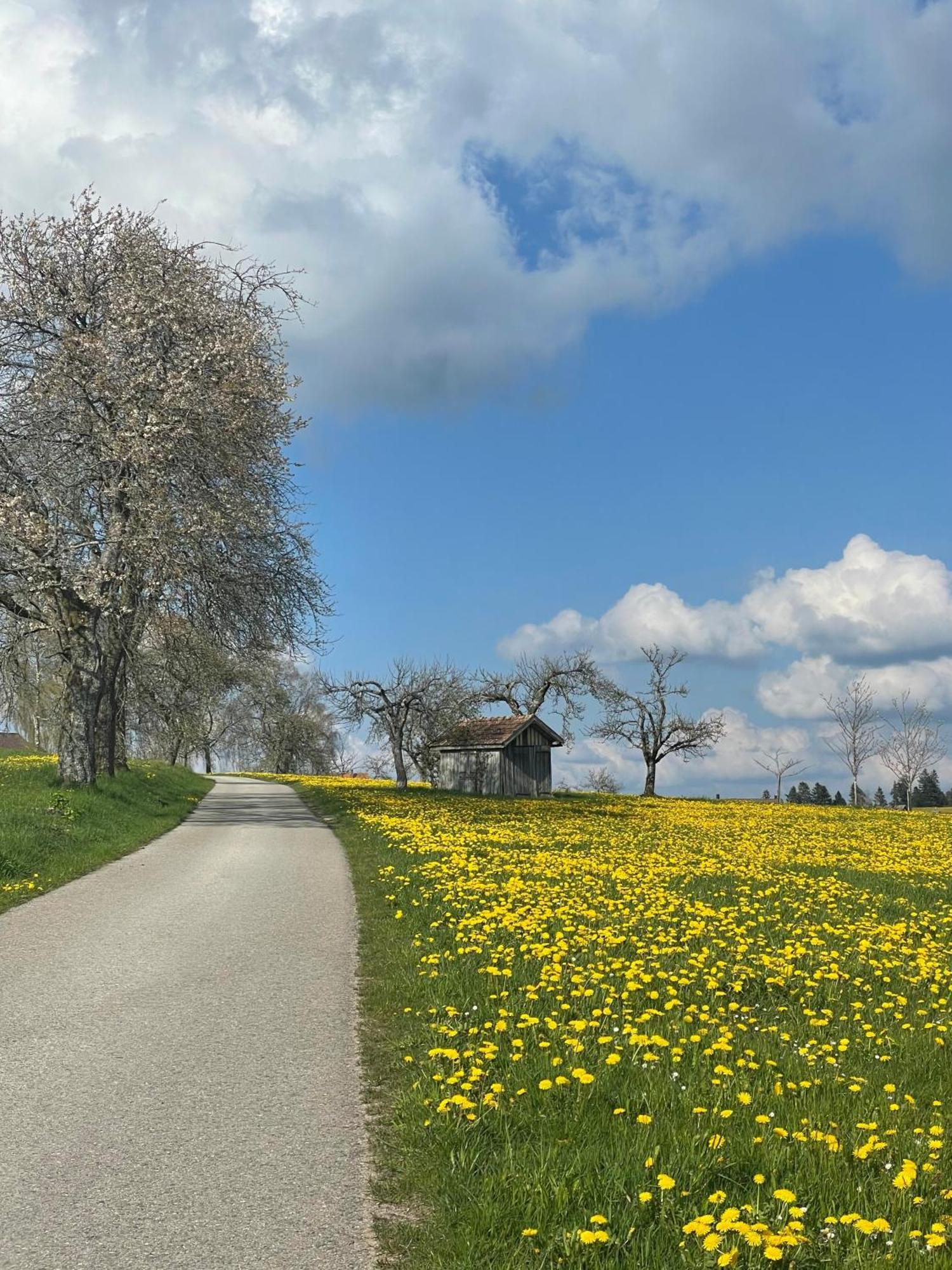 Hotel Krone Igelsberg Freudenstadt Exteriör bild